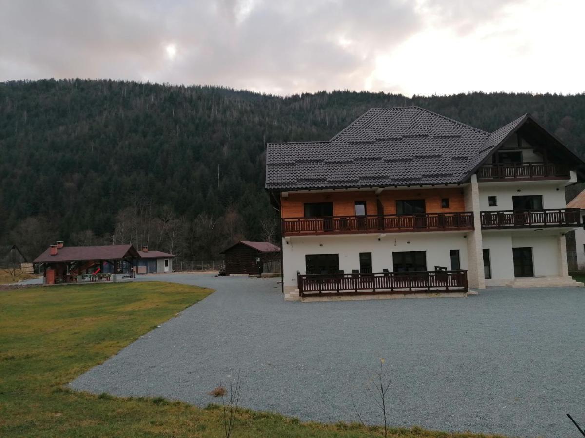 Pensiunea Armonia Albac Exterior photo
